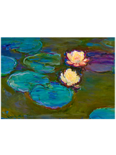 Monet Nympheas - Art Print